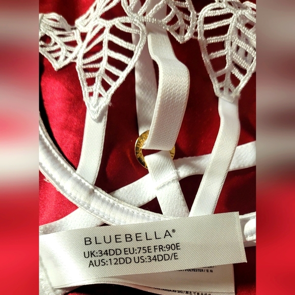 NWT white Blueubella Sapphira set Wired Bra 34DD/E and Thong size M - Picture 6 of 15